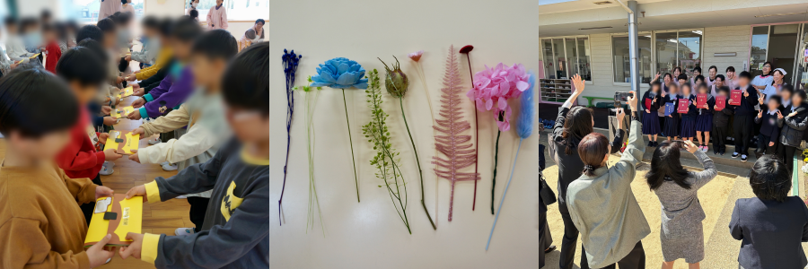 collage_20250428_001.png